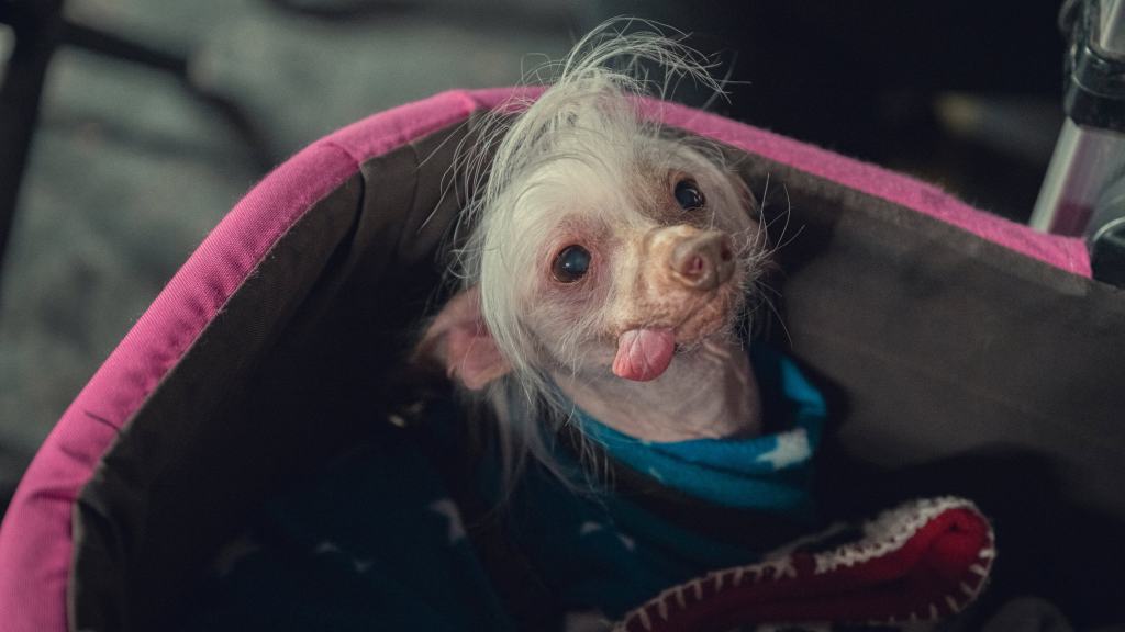 Lena Dunham’s Too Much Drops Trailer and Adds Star-Studded Guest Cast 11 TooMuch FirstLook Image 5