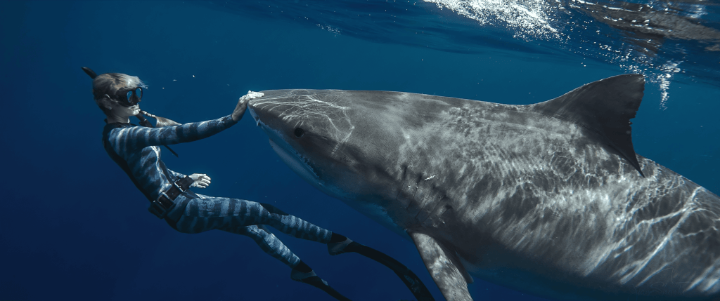 Activist or Influencer? Netflix’s Shark Whisperer Asks the Question No One Else Will 3 Shark Whisperer 00 28 18 16