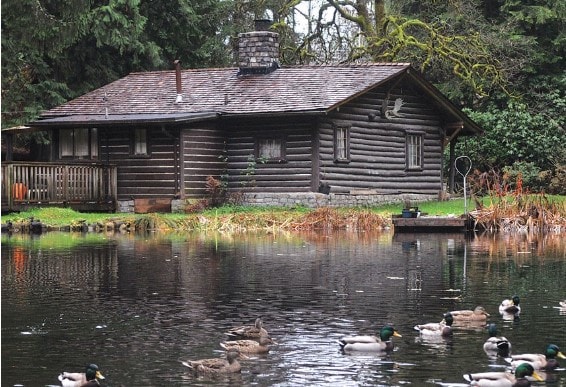 Where Was Untamed Filmed? Inside the Real Netflix Locations That Replaced Yosemite 3 Murdo cabin Paul McGrath photo back