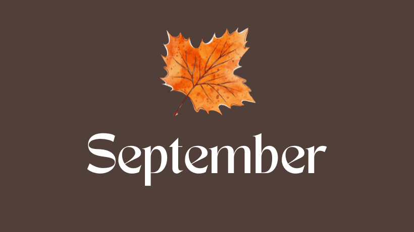 Netflix Fall 2025 Lineup Brings Big Movies, Holiday Romances, and More 2 1