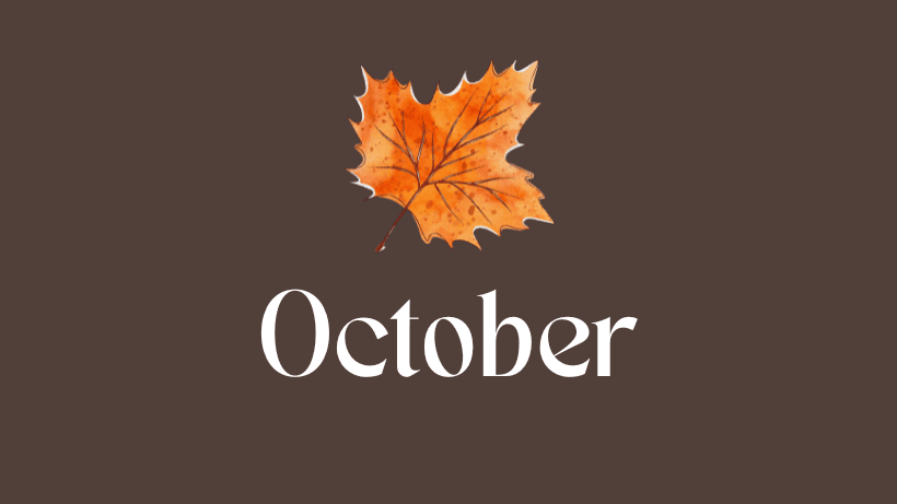 Netflix Fall 2025 Lineup Brings Big Movies, Holiday Romances, and More 3 2