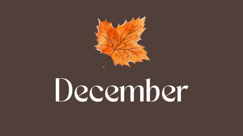 Netflix Fall 2025 Lineup Brings Big Movies, Holiday Romances, and More 5 4