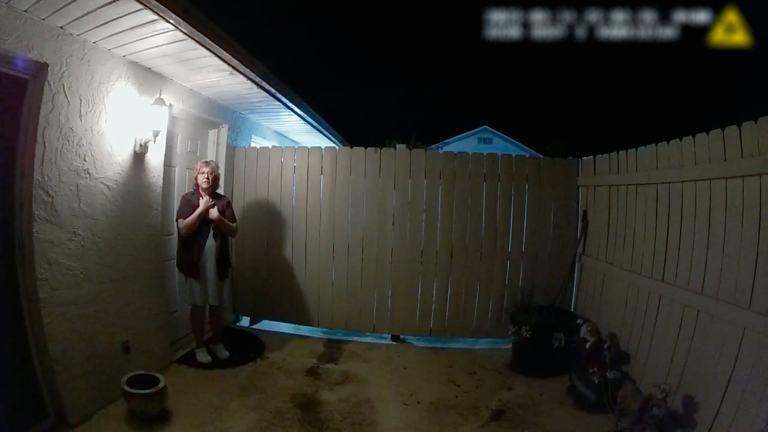The Perfect Neighbor Netflix: trailer, release date, and true crime ...
