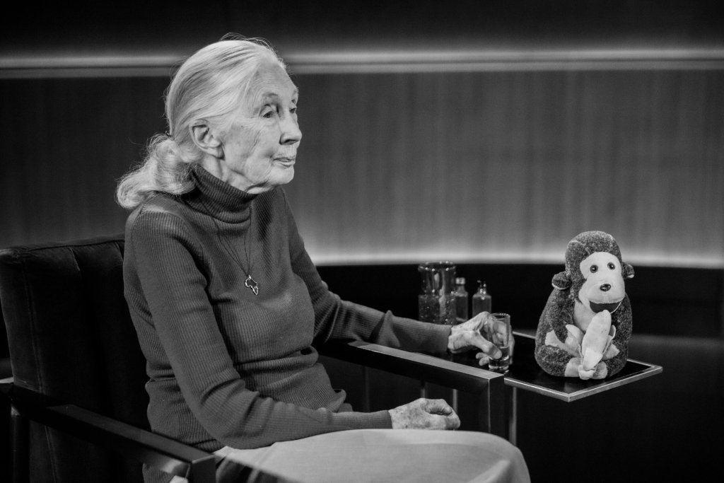 Famous Last Words Jane Goodall Netflix — Docuseries honors her legacy after passing