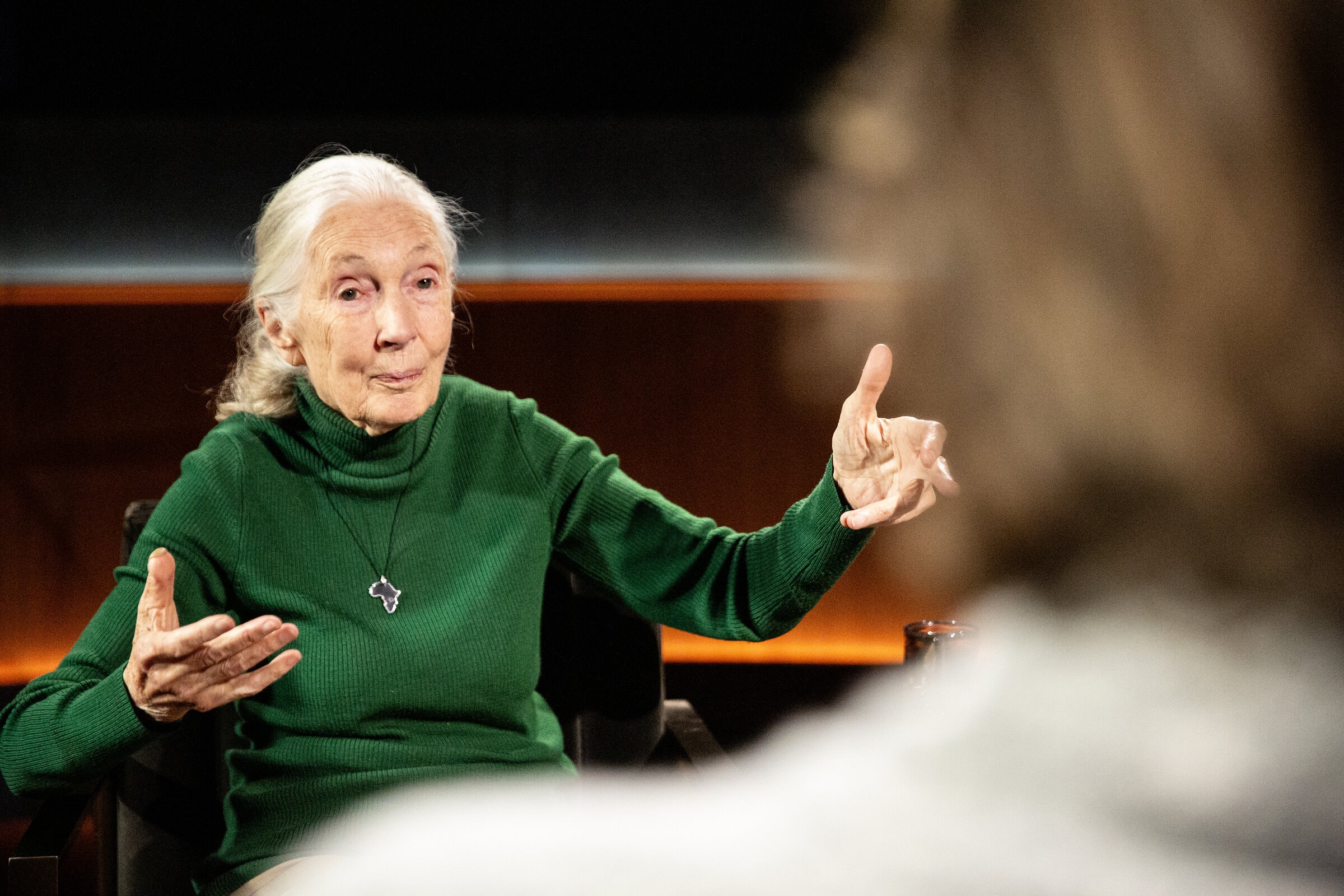 Famous Last Words Jane Goodall Netflix — Docuseries honors her legacy after passing