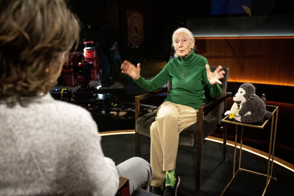 Famous Last Words Jane Goodall Netflix — Docuseries honors her legacy after passing