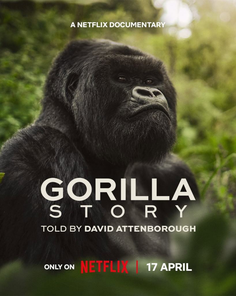 A Gorilla Story on Netflix: David Attenborough Documentary Sets April 17 Release 7 A Gorilla Story on Netflix: David Attenborough Documentary Sets April 17 Release