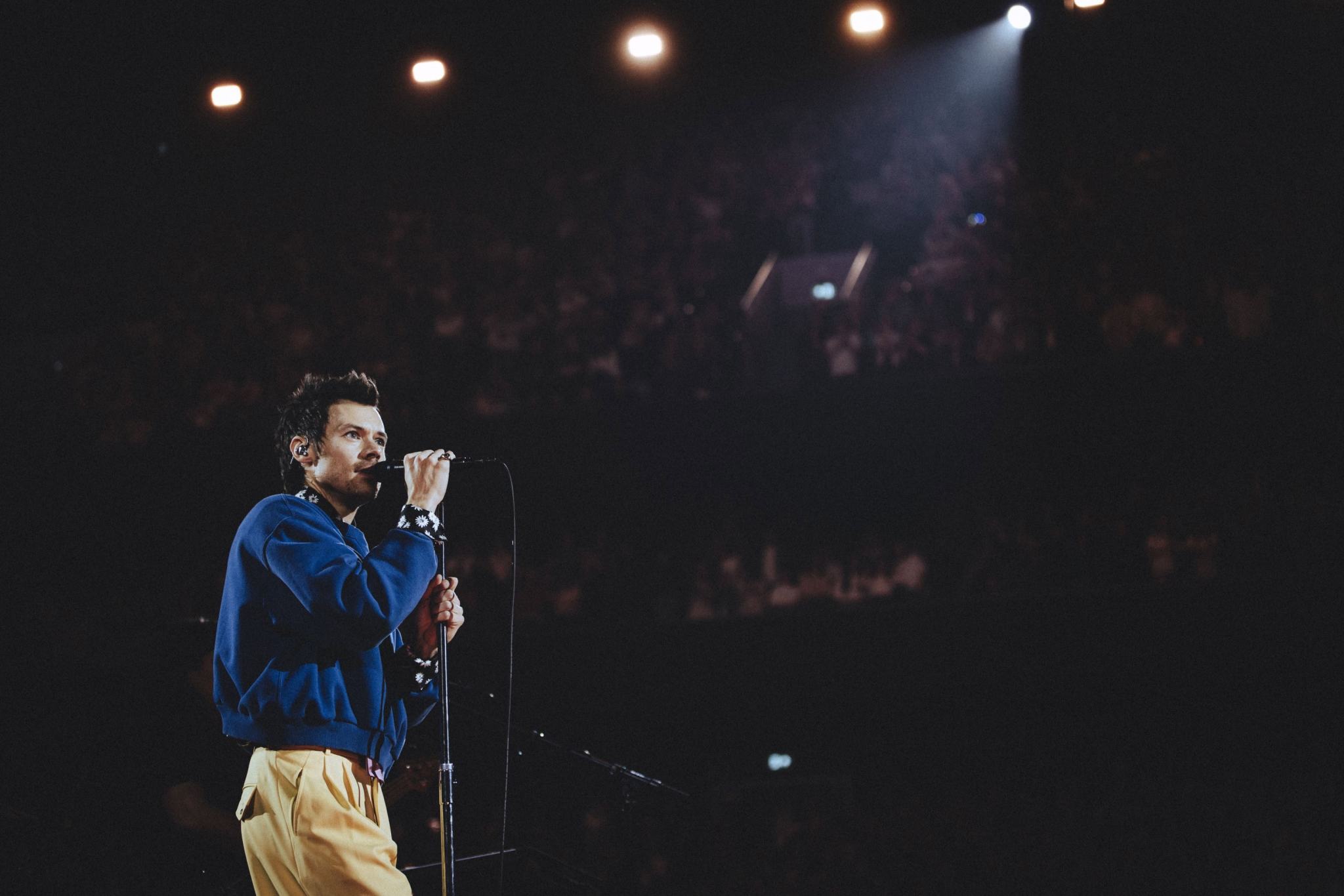 Harry Styles: One Night in Manchester on Netflix — How to Watch the ...