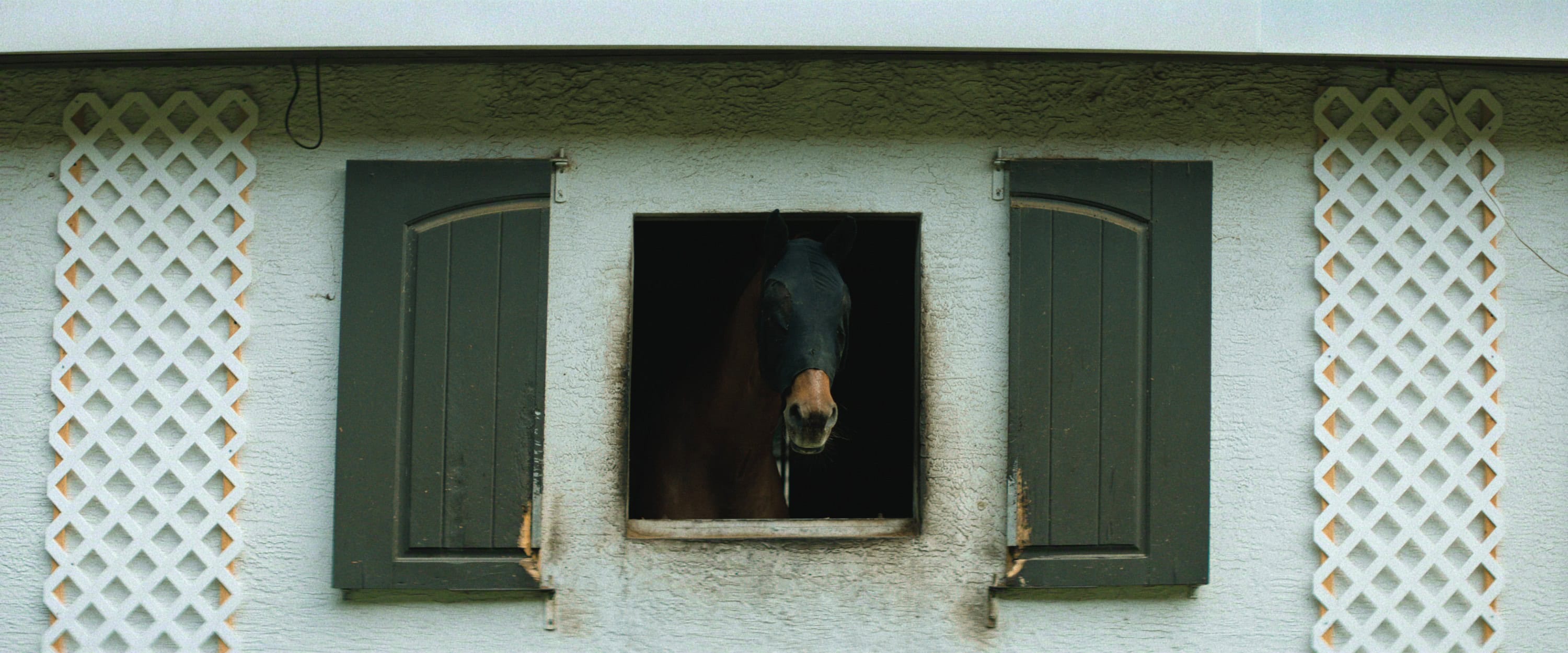 UNTOLD: The Shooting at Hawthorne Hill Brings a New True Crime Story to Netflix