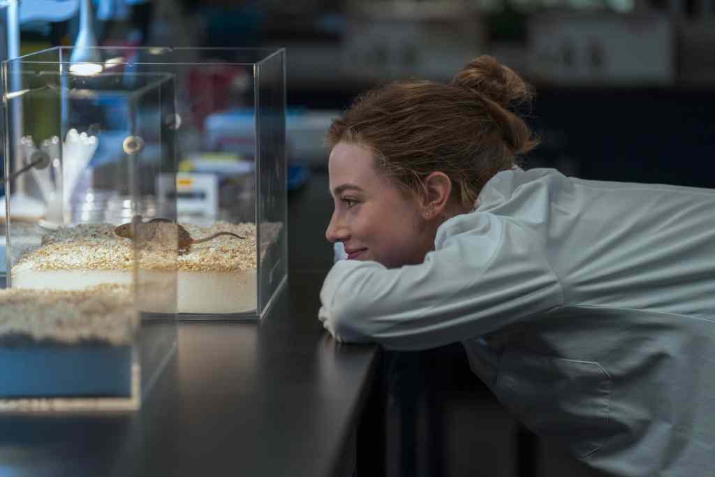The Love Hypothesis Trailer Brings Ali Hazelwood’s Romance to Prime Video This September
